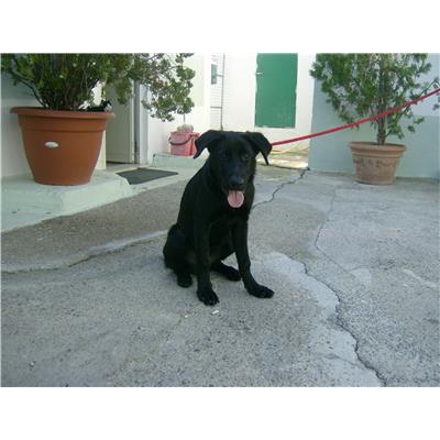 COMUNE DI CROTONE - 380260101645588