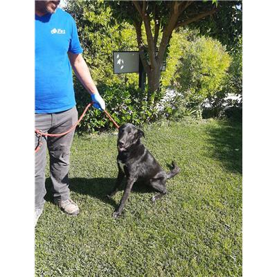 COMUNE DI CROTONE - 380260101650647