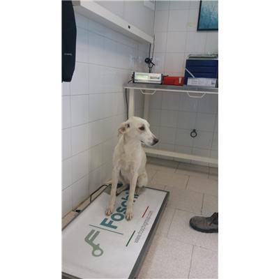 COMUNE DI CROTONE - 380260101650688