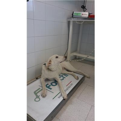 COMUNE DI CROTONE - 380260101650688