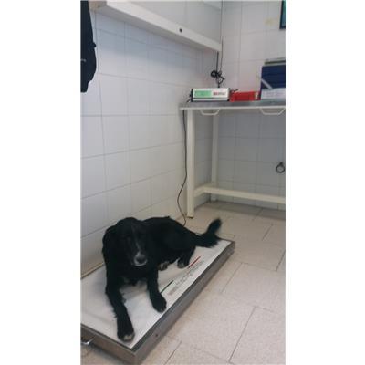COMUNE DI CROTONE - 380260101651652
