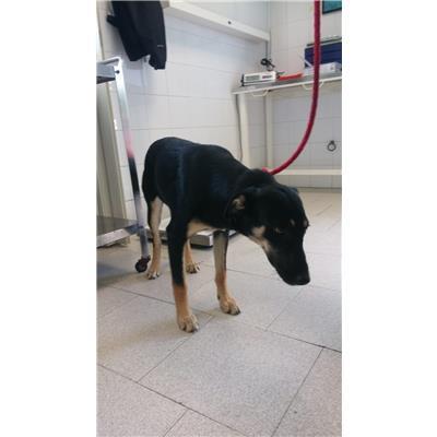 COMUNE DI CROTONE - 380260101650035