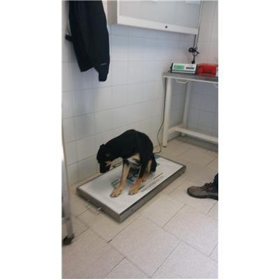 COMUNE DI CROTONE - 380260101650035