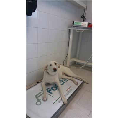COMUNE DI CROTONE - 380260101651698