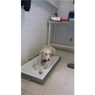 COMUNE DI CROTONE - 380260101651698
