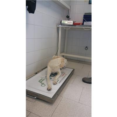 COMUNE DI CROTONE - 380260101651698