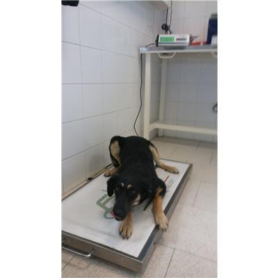 COMUNE DI CROTONE - 380260101651541