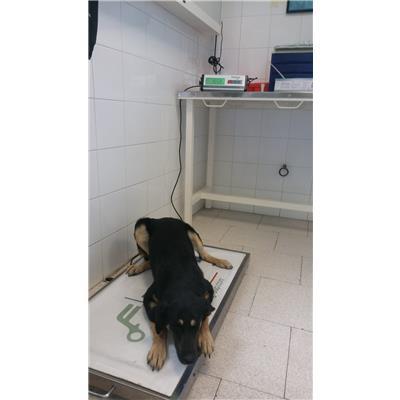 COMUNE DI CROTONE - 380260101651541
