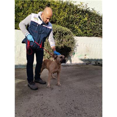 COMUNE DI CACCURI - 380260101651137