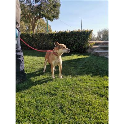 COMUNE DI CROTONE - 380260101800720