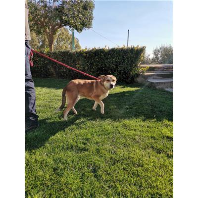 COMUNE DI CROTONE - 380260101800720