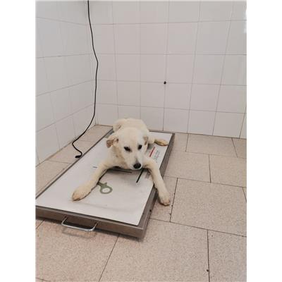 COMUNE DI CROTONE - 380260101805970