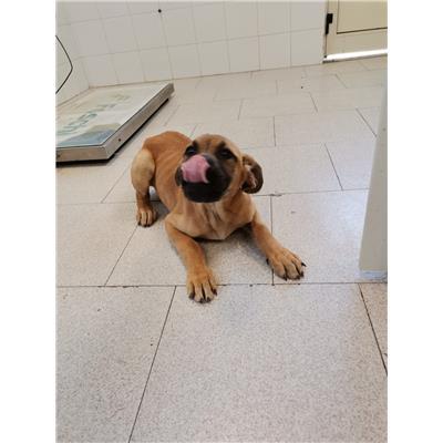 COMUNE DI MARCELLINARA - 380260044090600
