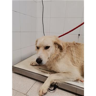 COMUNE DI CROTONE - 380260101920759