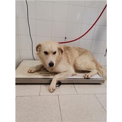COMUNE DI CROTONE - 380260101920759