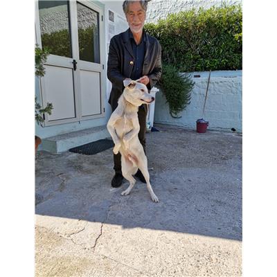 COMUNE DI MELISSA - 380260101920740
