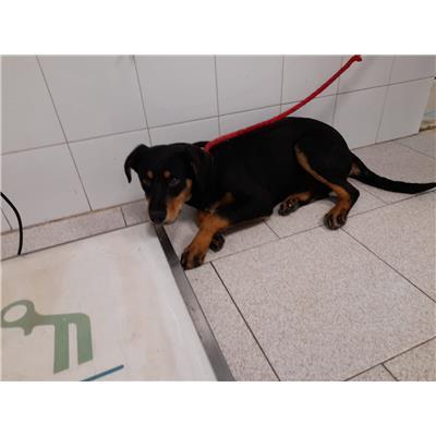 COMUNE DI CROTONE - 380260101923912