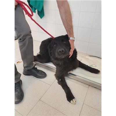 COMUNE DI CROTONE - 380260101923544