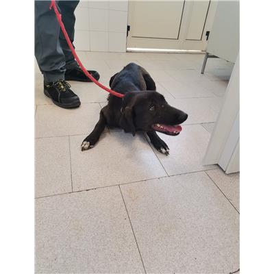 COMUNE DI CROTONE - 380260101923655
