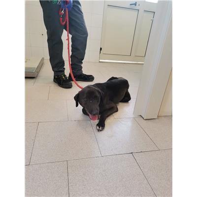 COMUNE DI CROTONE - 380260101923655