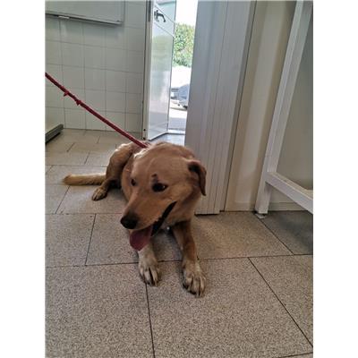 COMUNE DI CROTONE - 380260101923596
