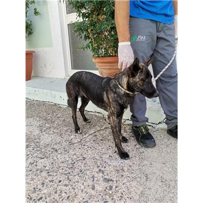 COMUNE DI CROTONE - 380260101923540