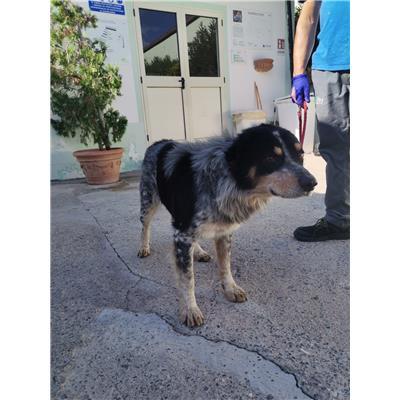 COMUNE DI ISOLA DI CAPO RIZZUTO - 380260101923562