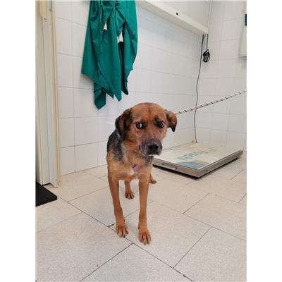 COMUNE DI ROCCABERNARDA - 380260102247301