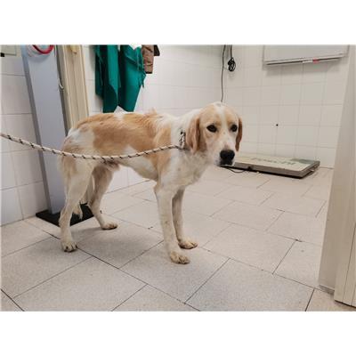 COMUNE DI CROTONE - 380260102275083