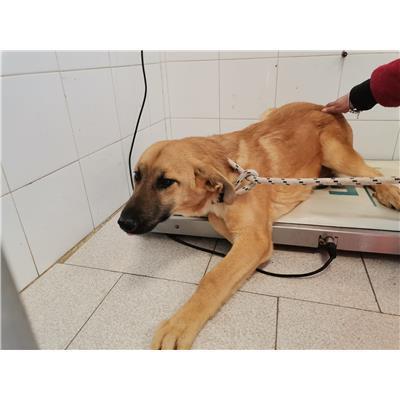 COMUNE DI ROCCABERNARDA - 380260102213571