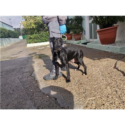 COMUNE DI ROCCABERNARDA - 380260102249421