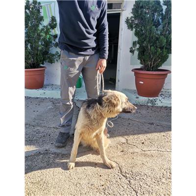 COMUNE DI ROCCABERNARDA - 380260102249514