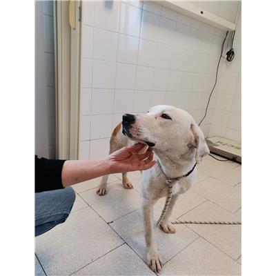 COMUNE DI CROTONE - 380260102246553