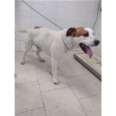 COMUNE DI CROTONE - 380260102555018