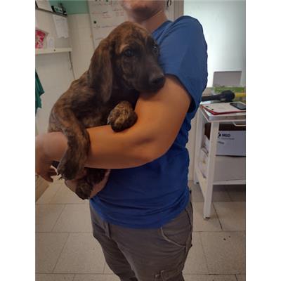COMUNE DI CROTONE - 380260102610828