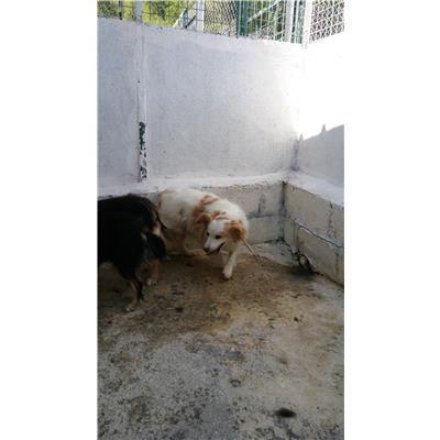 COMUNE DI CROTONE - 380260010303250