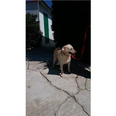 COMUNE DI CROTONE - 380260010303373