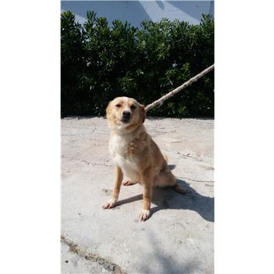 COMUNE DI CROTONE - 380260010303484