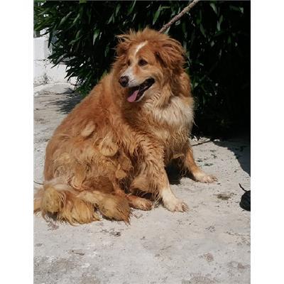 COMUNE DI CROTONE - 380260010299200