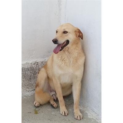 COMUNE DI CROTONE - 380260010300685