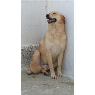 COMUNE DI CROTONE - 380260010300685