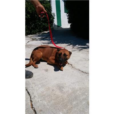 COMUNE DI CROTONE - 380260010300768