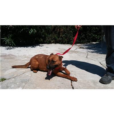 COMUNE DI CROTONE - 380260010300809