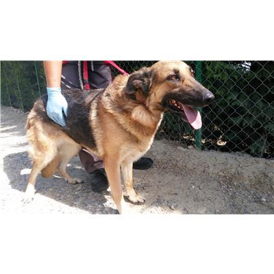 COMUNE DI CROTONE - 380260010300840