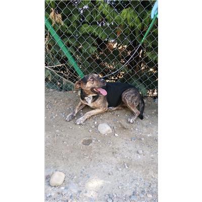COMUNE DI CROTONE - 380260010300938