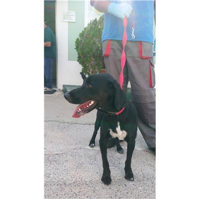 COMUNE DI CROTONE - 380260101497085