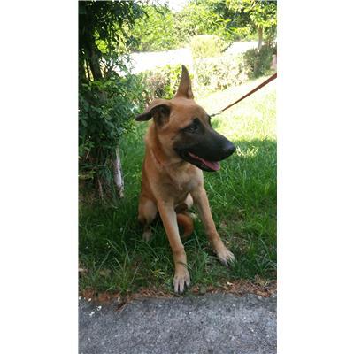 COMUNE DI MELISSA - 380260101505495