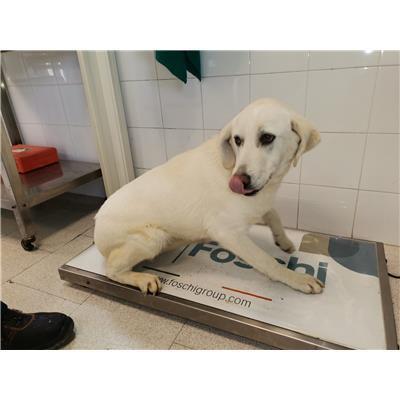 COMUNE DI MELISSA - 380260101502695