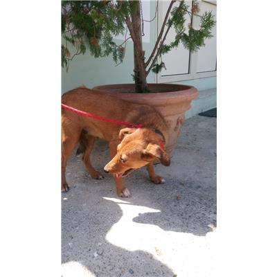 COMUNE DI ROCCABERNARDA - 380260101502981