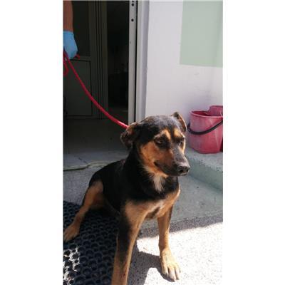 COMUNE DI ROCCABERNARDA - 380260101502275